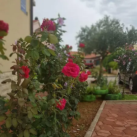 Apartmani Mirko Storic Vodice Exterior photo